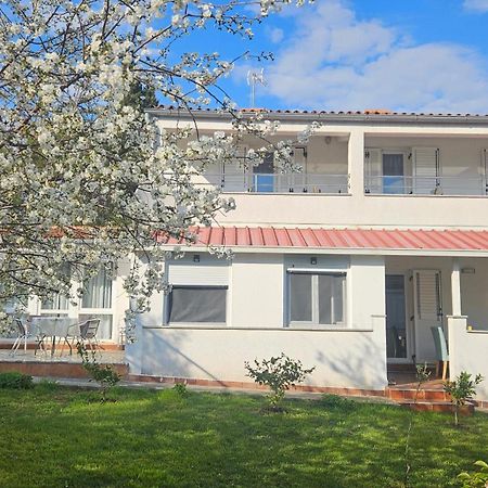 Apartments Betty Borik Rovinj Exterior photo